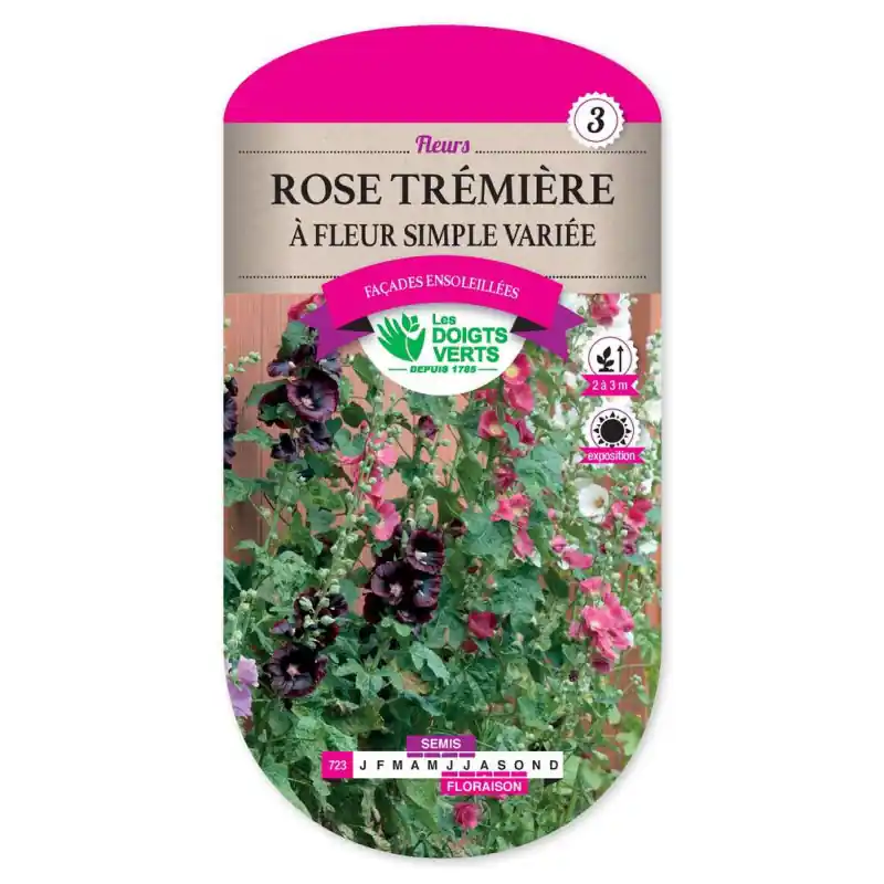 Rose tremiere à fleur simple var – graines 0,8g – les doigts verts Promotion Saisonnière