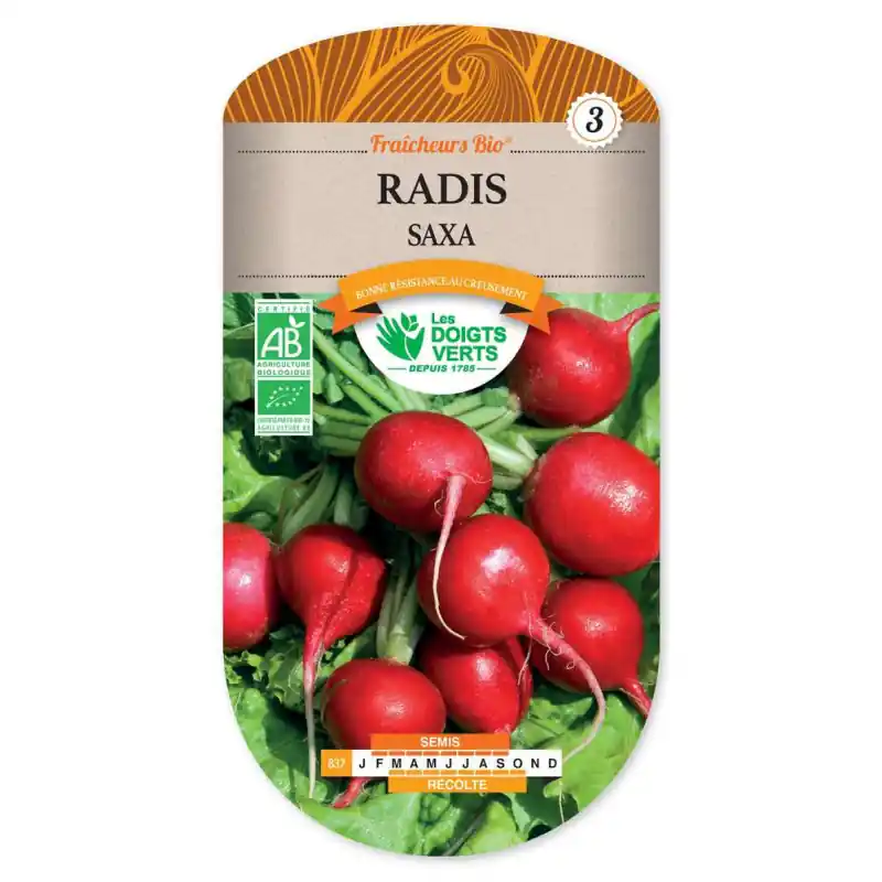 Radis saxa 3 bio – sachet de graines 10g – les doigts verts Prix Promo