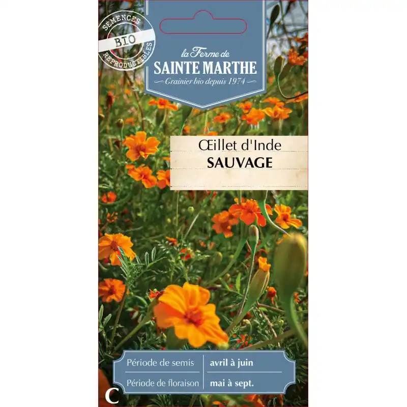Oeillet d‘inde sauvage bio de la ferme sainte marthe pour jardinage écologique – graines à semer Produit De Marque