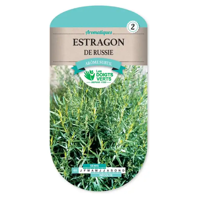 Estragon de russie – sachet de graines 0,3g – les doigts verts Prix Cassé