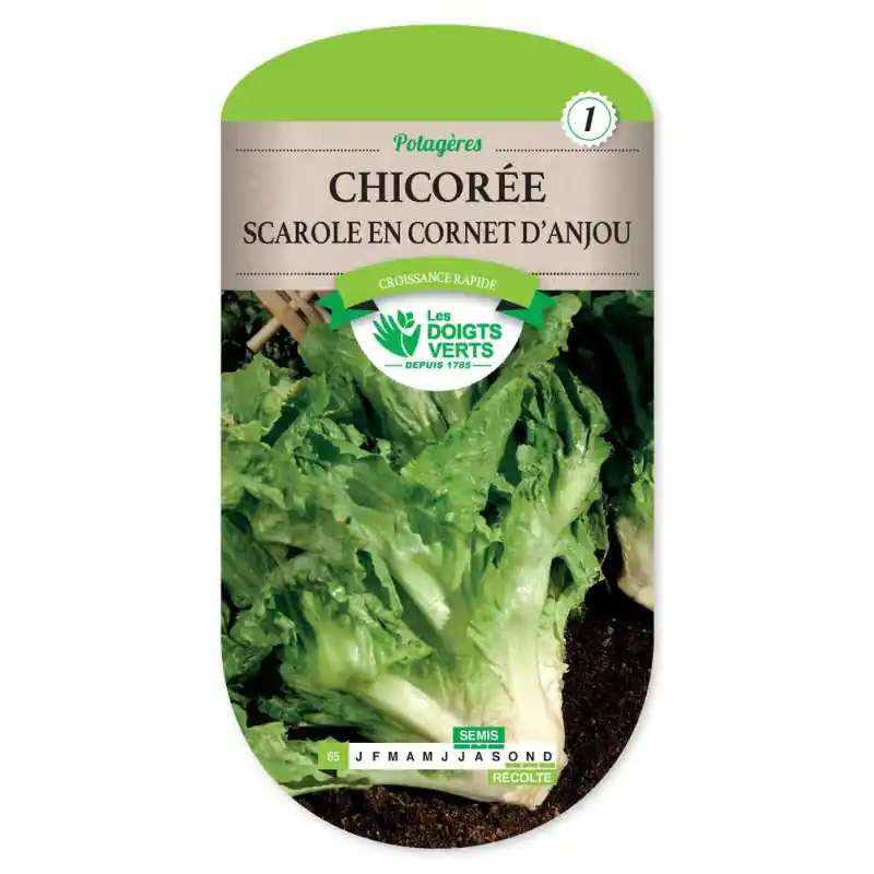 Marque Chicoree scar. en cornet d‘anjou - graines 2g - les doigts verts
