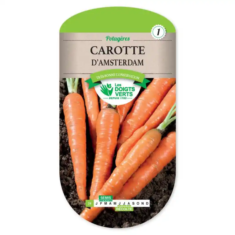 Vente Directe Carotte d‘amsterdam 3 – sachet de graines 5g – les doigts verts