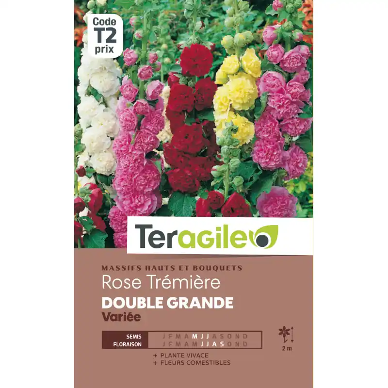 Rose tremiere double grande variee 2,00 g Satisfait Ou Remboursé