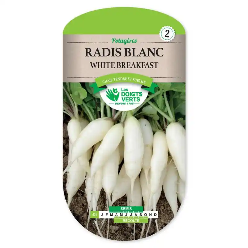 Radis white breakfast – sachet de graines 10g – les doigts verts Super Prix