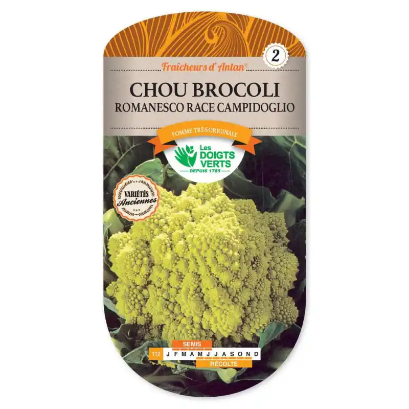 Chou brocoli romanesco campidogli - graines 1,5g - les doigts verts Prix Promo
