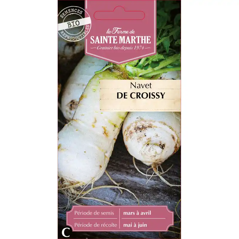 Navet de croissy bio de la ferme sainte marthe, goût authentique et qualité supérieure – graines à semer Pas Cher