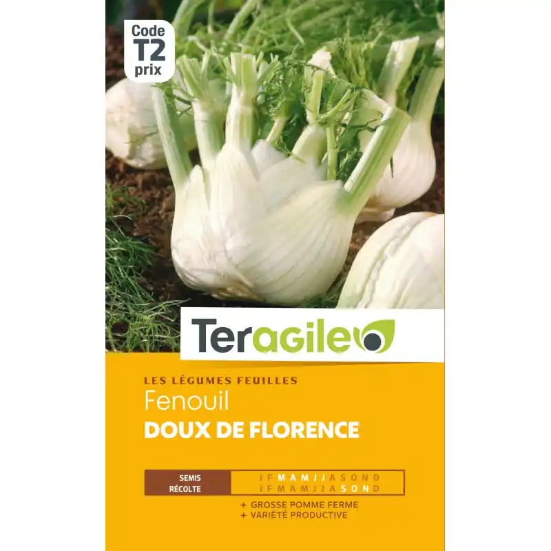 Fenouil doux de florence t2 teragile Commander Vite