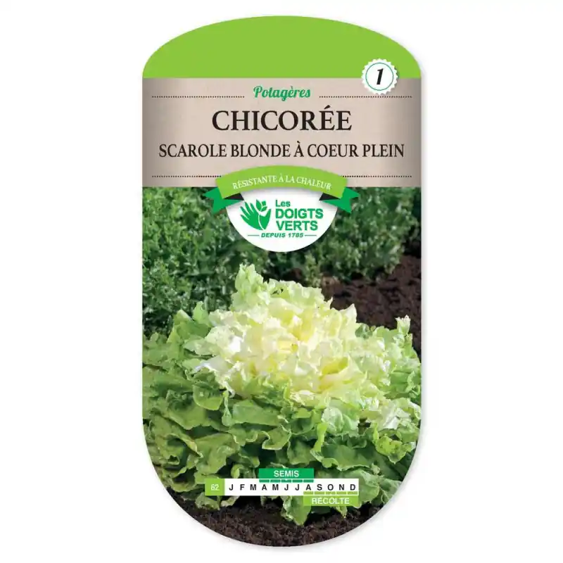 Chic.sca.blonde a coeur plein – graines 3g – les doigts verts Meilleure Vente