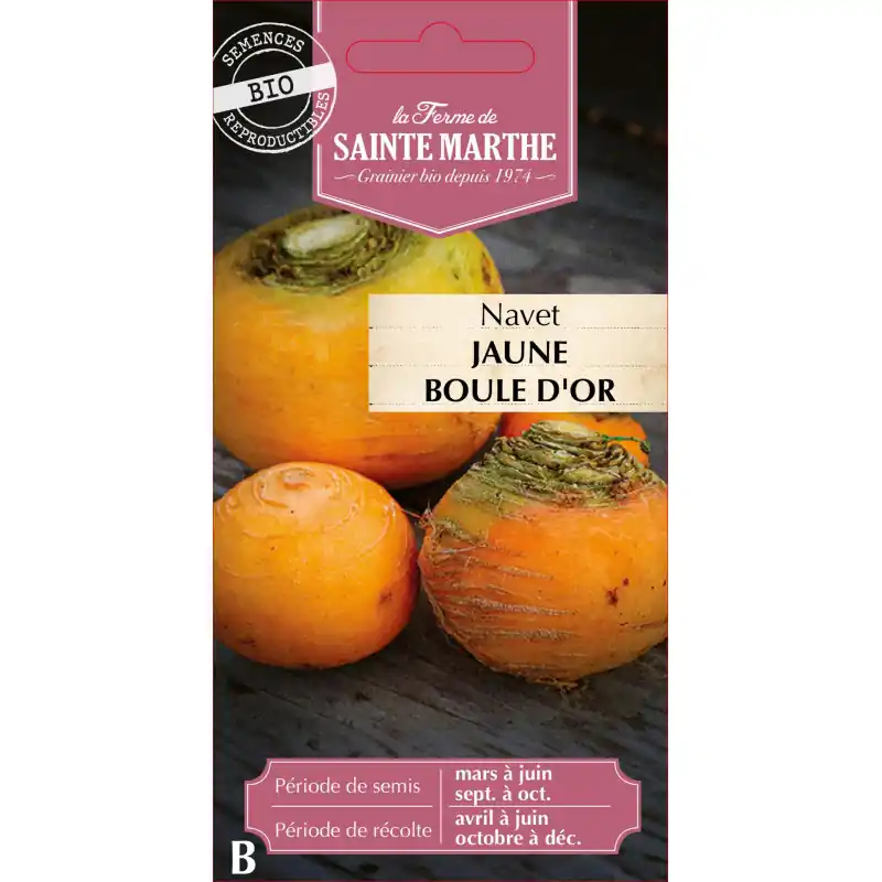 Navet jaune boule dor bio de la ferme sainte marthe 500g - graines à semer Meilleur Choix
