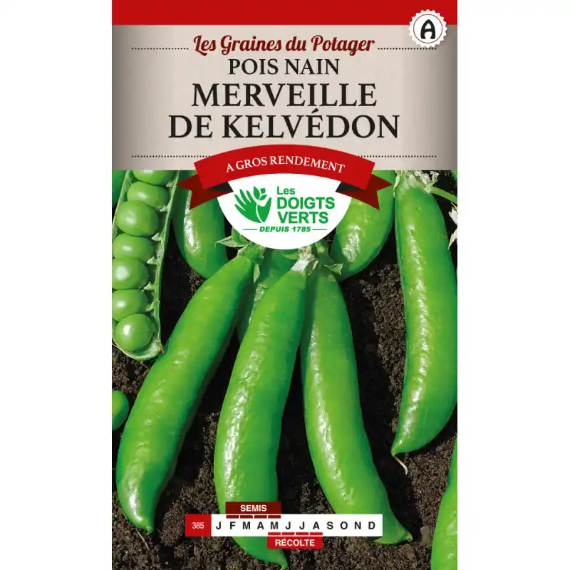 Pois nain merveille de kelvedon - graines 220g - les doigts verts Acheter En Ligne