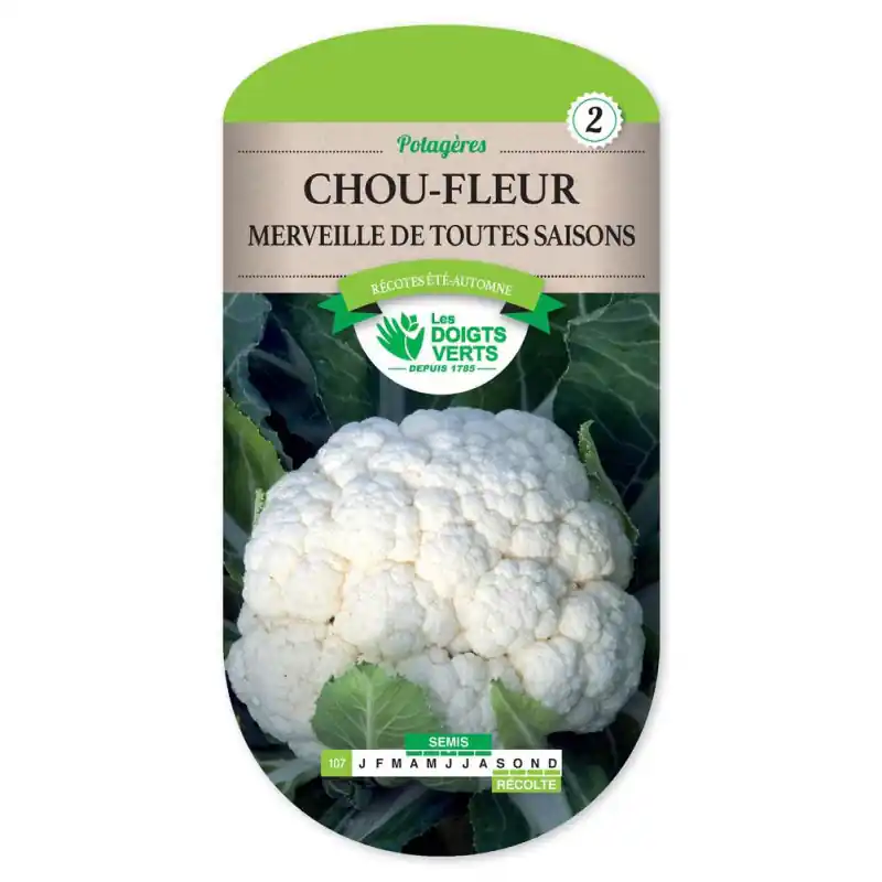 Jusqu&rsquo;à Épuisement Des Stocks Chou-fleur merv. toutes saisons – graines 1,5g – les doigts verts