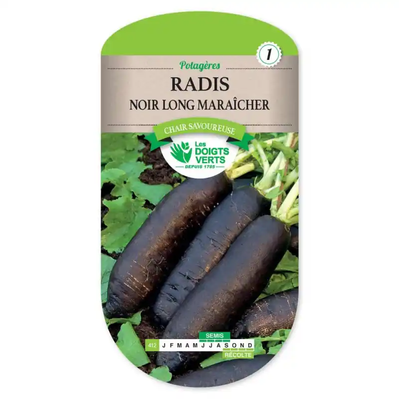 Meilleure Vente Radis noir long maraicher – graines 12g – les doigts verts