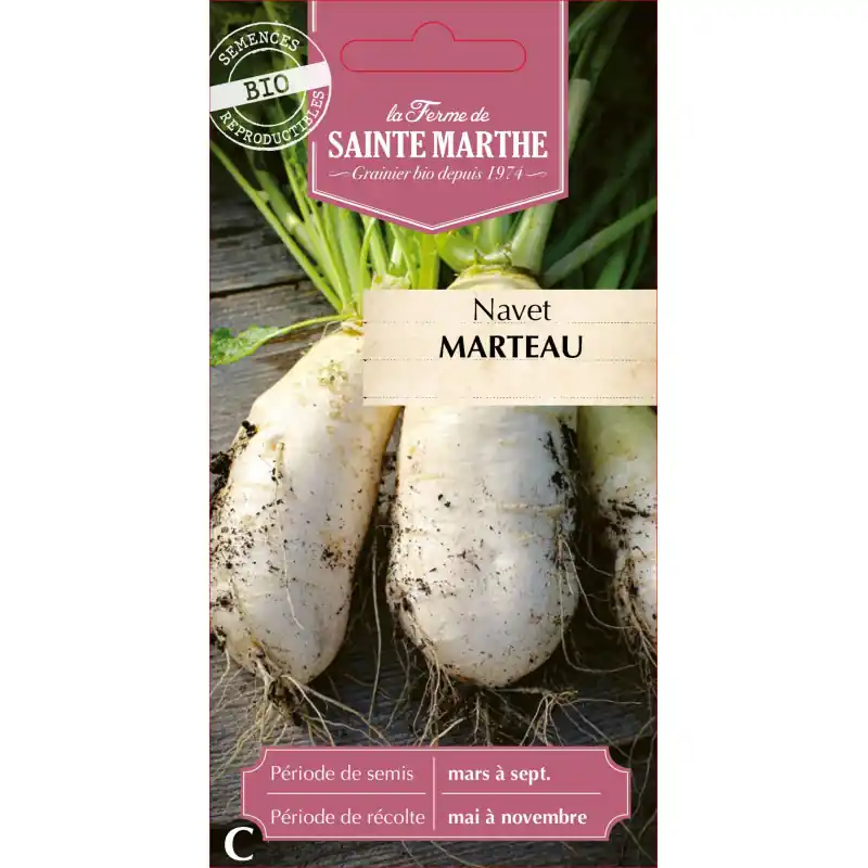 Haute Qualité Navet marteau bio de la ferme sainte marthe, légumes frais et sains – graines à semer