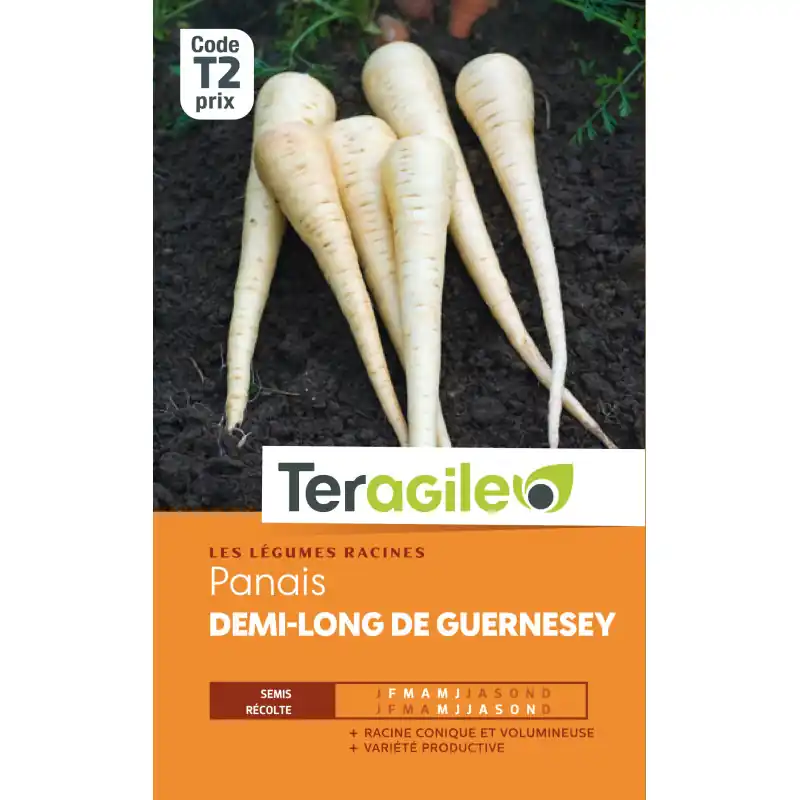 Expédié Aujourd&rsquo;hui Panais 1/2 long de guernesey t2 teragile