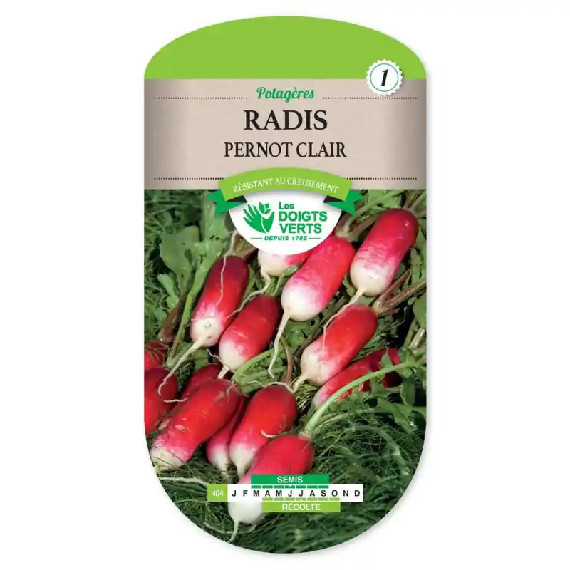 Radis pernot clair – sachet de graines 10g – les doigts verts Remise