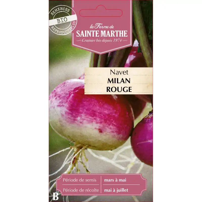 Prix Bas Navet milan rouge bio de la ferme sainte marthe, légume frais et savoureux – graines à semer