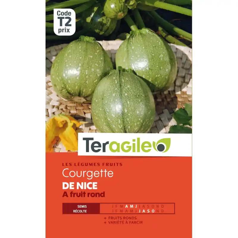 Courgette de nice a fruit rond 5,00 g Bon Plan