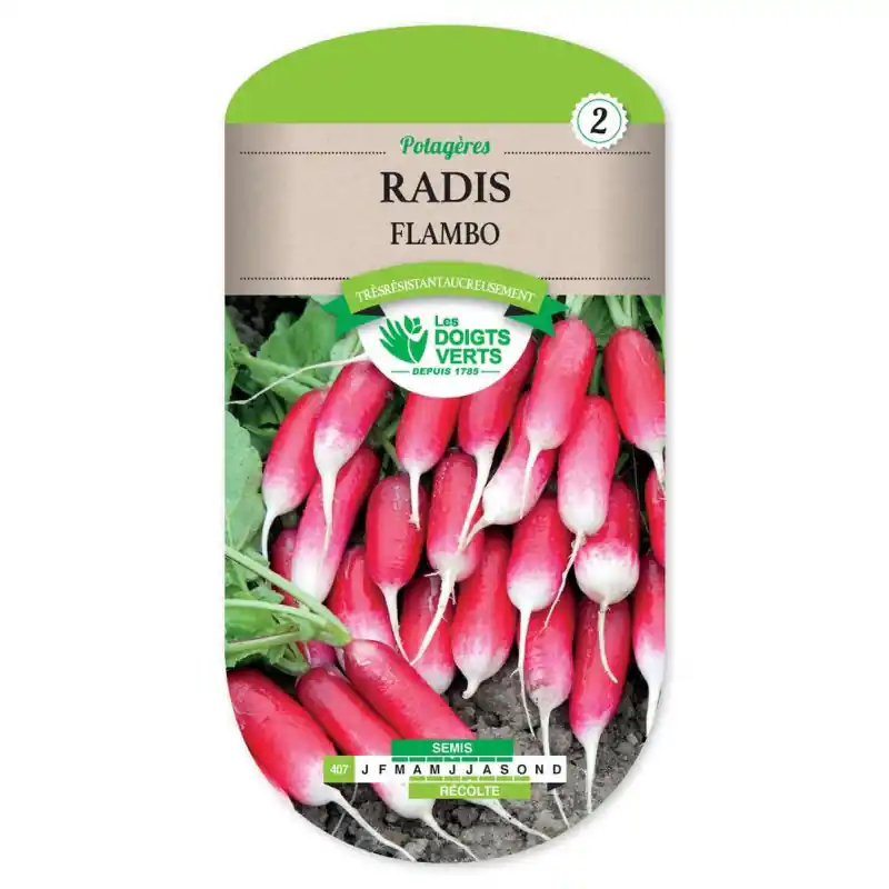 Acheter Direct Radis flambo – sachet de graines 10g – les doigts verts