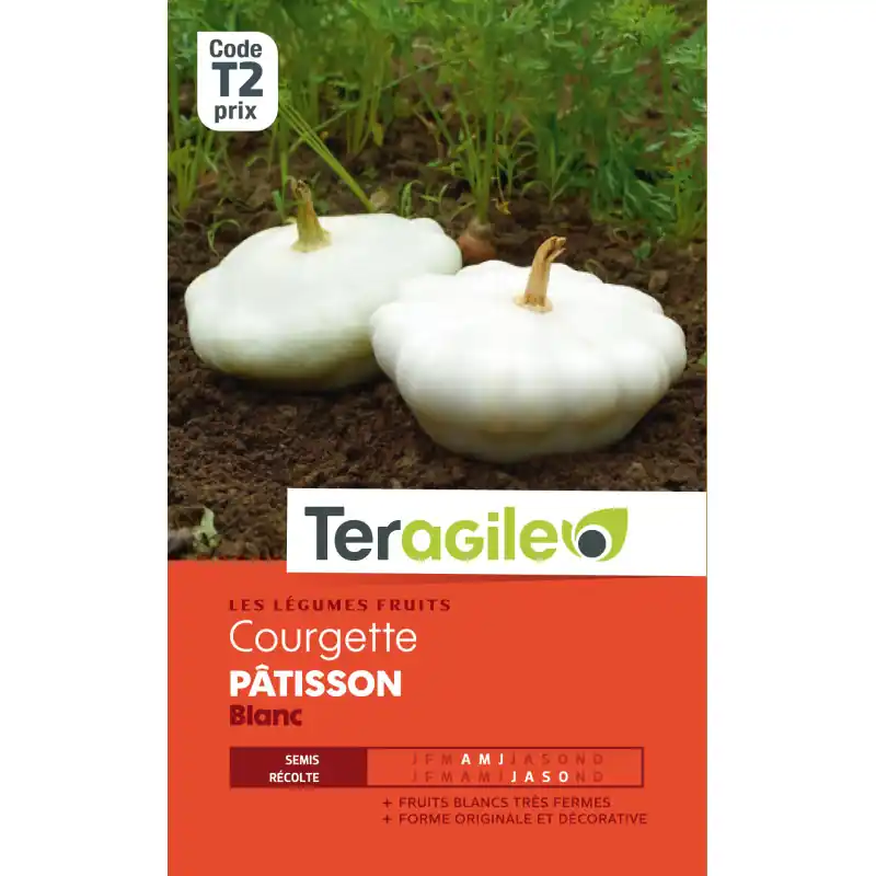 Achetez Aujourd&rsquo;hui Courgette patisson blanc t2 teragile