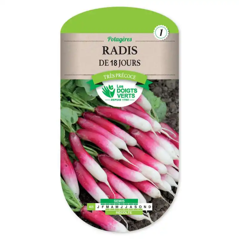 Radis de 18 jours – sachet de graines 15g – les doigts verts Top Vente