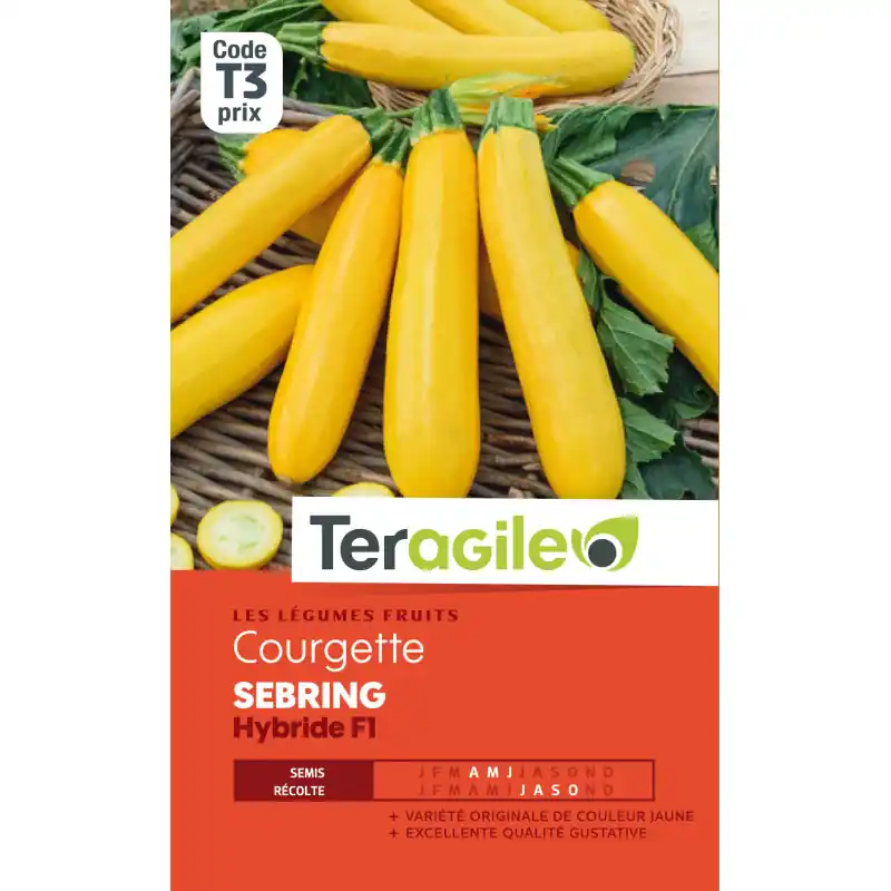 Solde Courgette sebring hybride f1 2,00 g