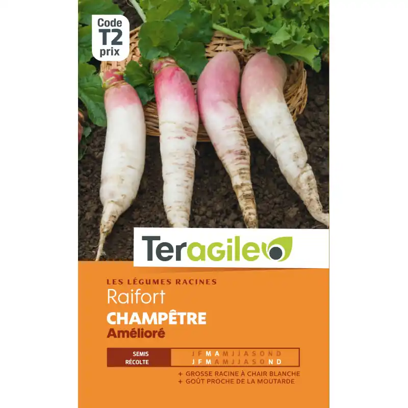 Raifort champetre ameliore t2 terg Promotion Saisonnière