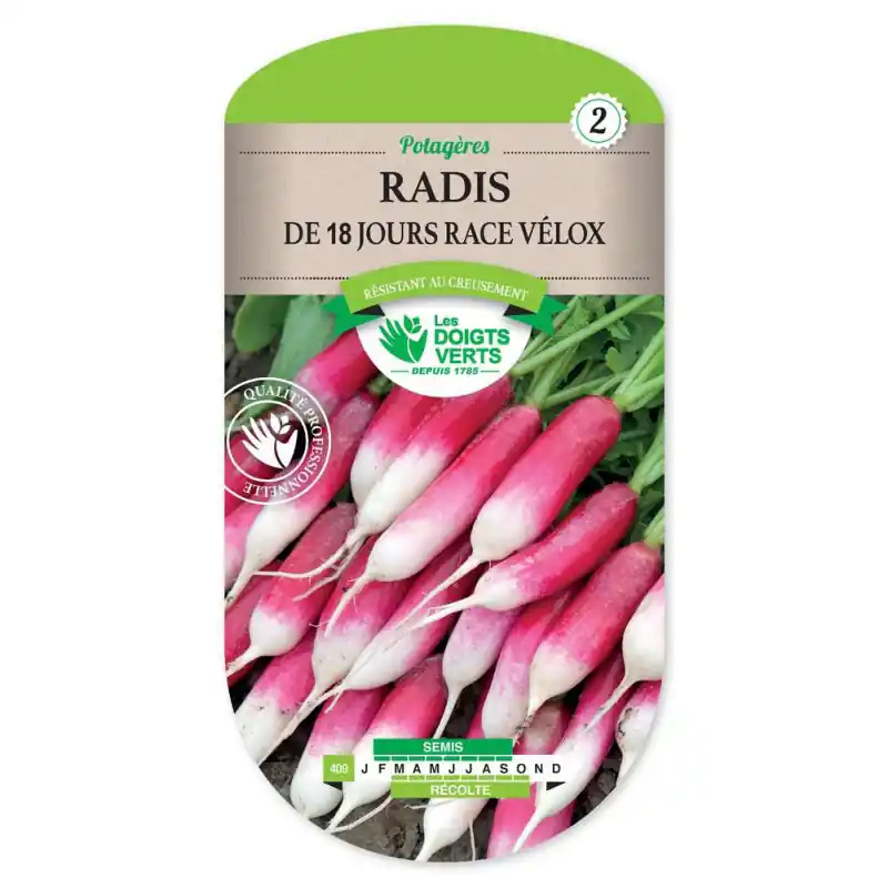 Radis de 18 jours race velox – graines 12g – les doigts verts Usine Directe