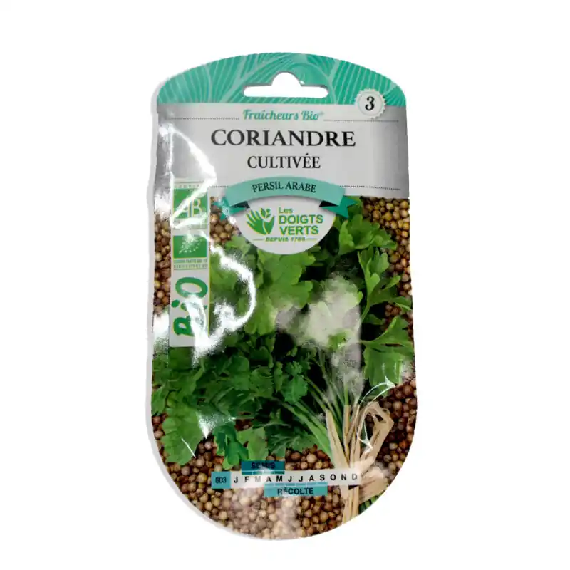 Coriandre bio – sachet de graines 4g – les doigts verts Satisfait Ou Remboursé