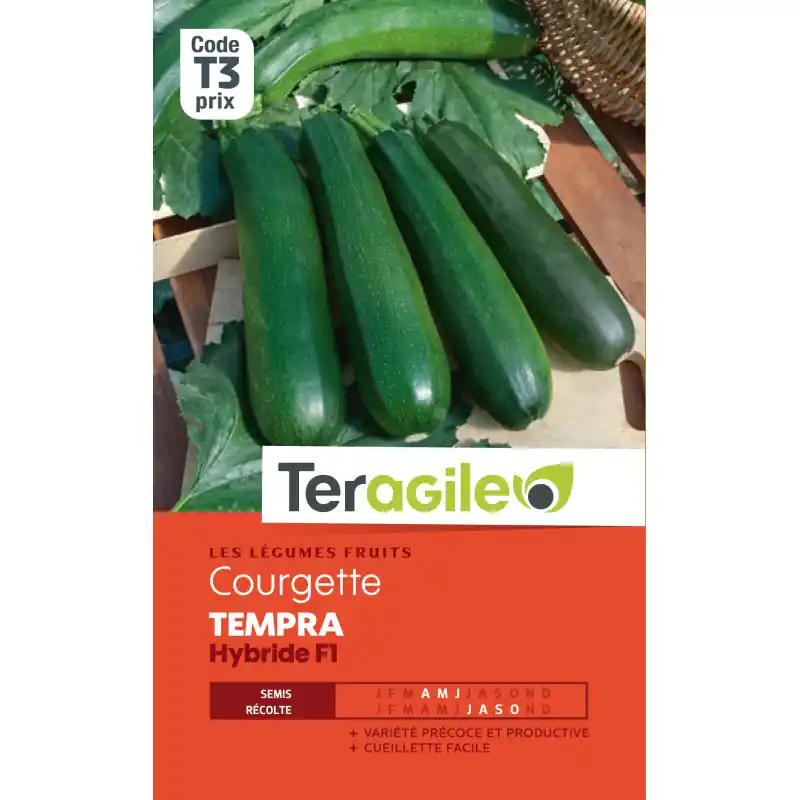 Achat Immédiat Courgette tempra hybride f1 3,00 g