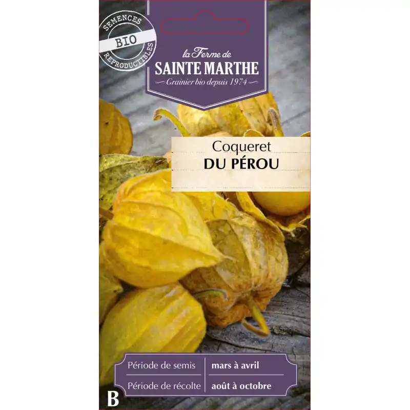 Coqueret du pérou bio de la ferme sainte marthe pour une nutrition saine et naturelle – graines à semer Achetez Aujourd&rsquo;hui