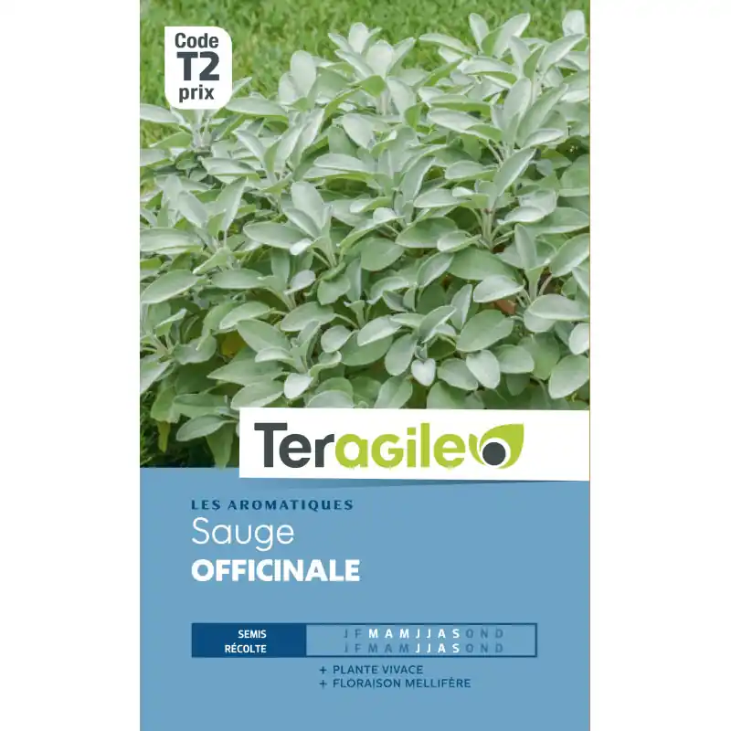 Sauge officinale t2 teragile Acheter En Ligne