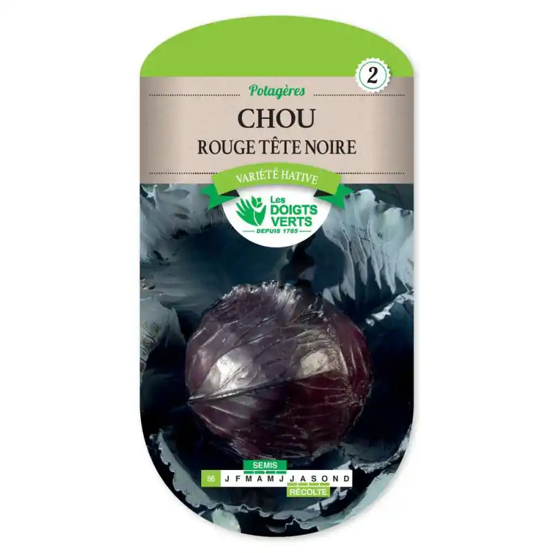 Dernier Modèle Chou rouge tete noire 3 – sachet de graines 3g – les doigts verts