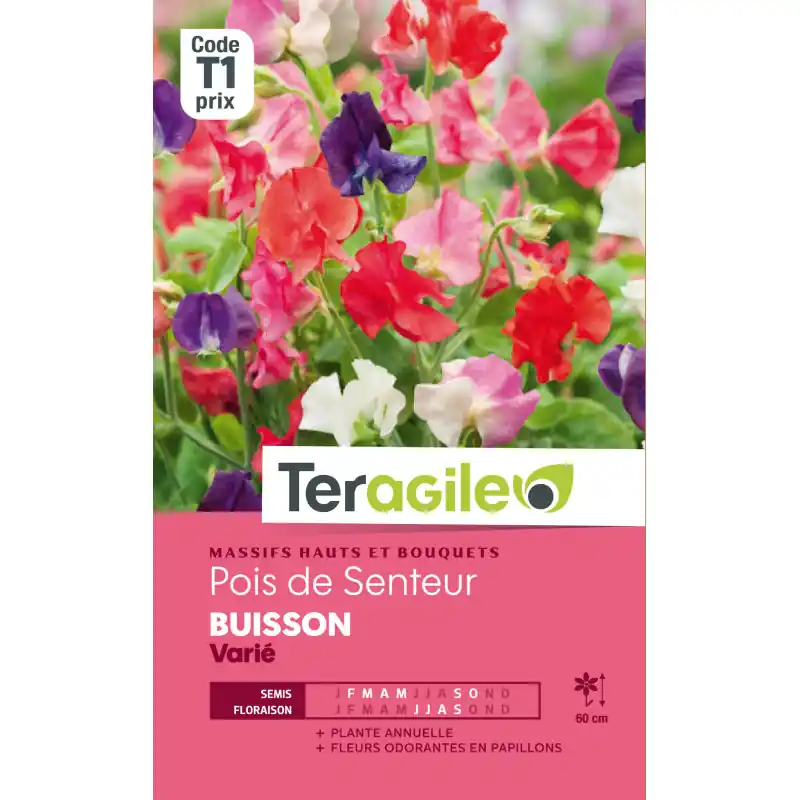 Bon Plan Pois de senteur buisson varie 5,00 g