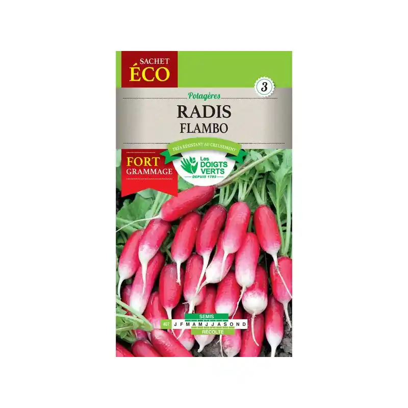 Nouveauté Radis flambo – sachet de graines 25g – les doigts verts