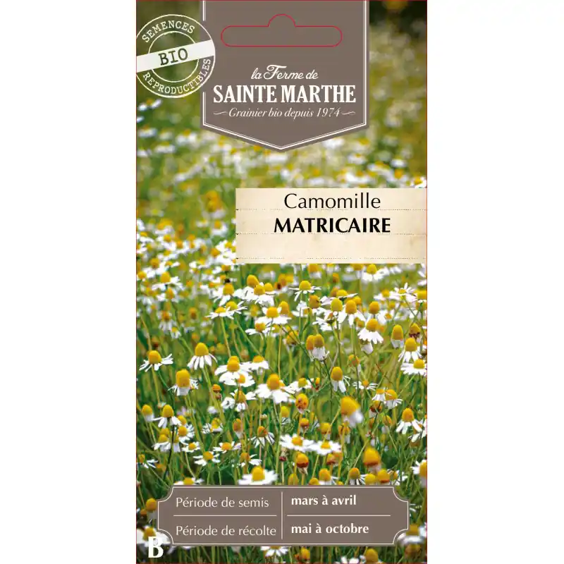 Camomille matricaire bio de la ferme sainte marthe pour apaiser et relaxer – graines à semer Prix Cassé
