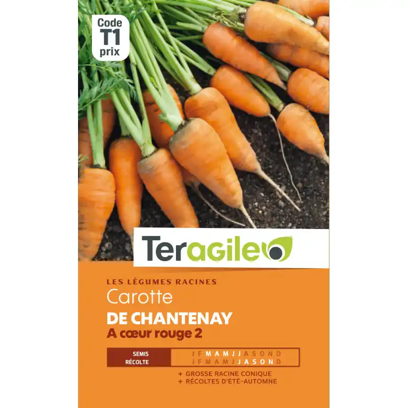 Carotte de chantenay a coeur rouge 2 6,00 g Nouvel Arrivage