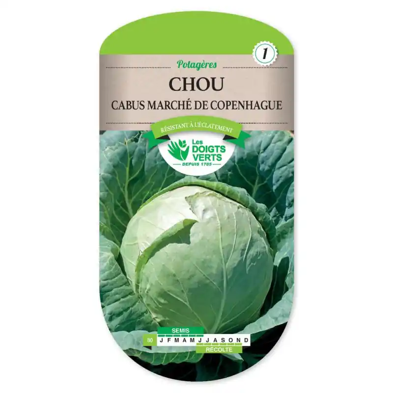 Nouveauté Chou cabus march‚ de copenhague4 – graines 3g – les doigts verts