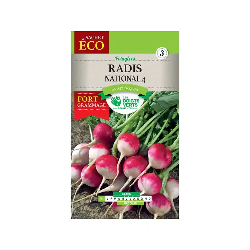 Radis national 4 rd rose bout bl – graines 40g – les doigts verts Satisfait Ou Remboursé