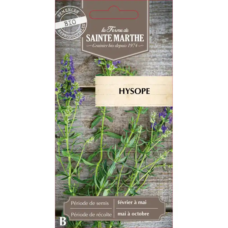 Offre Exclusive Hysope bio de la ferme sainte marthe pour aromathérapie et cuisine - graines à semer