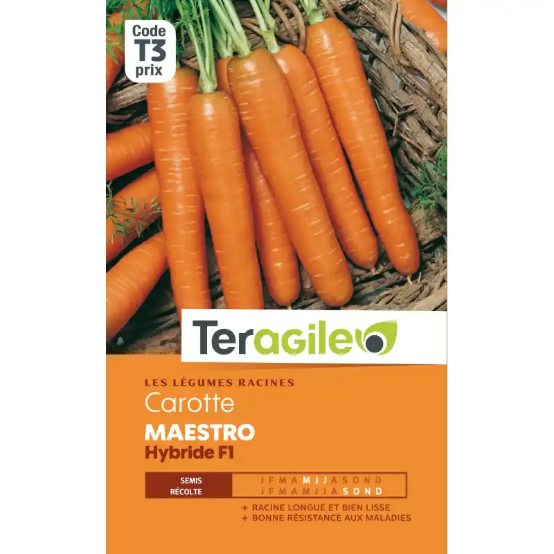 Must-Have Carotte maestro hybride f1 3,00 g