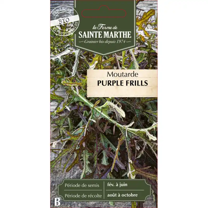 Moutarde purple frills bio de la ferme sainte marthe 200g – graines à semer Produit De Marque