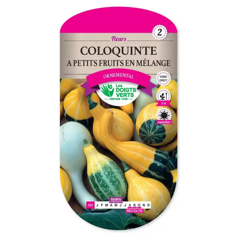 Nouvel Arrivage Coloquinte petits fruits melange - graines 3g - les doigts verts