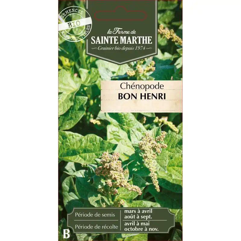 Chenopode bon henri bio – plante aromatique de la ferme sainte marthe – graines à semer Authentique