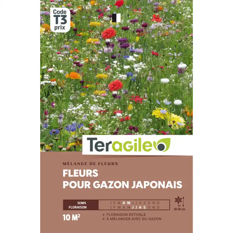 Expédition Rapide Fleurs dete pour gazon japonais 28,00 g