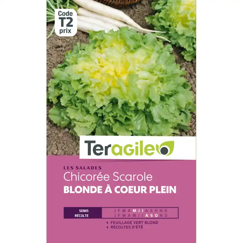 Chicoree scarole blonde a coeur plein 4,00 g Bon Marché