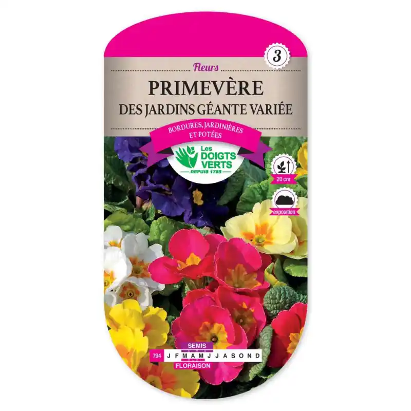 Primevere jardins geante ideale – graines 0,5g – les doigts verts Nouveauté