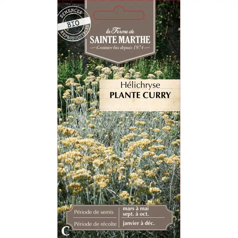 Helichryse bio – plante curry de la ferme sainte marthe pour aromatiser vos plats – graines à semer Usine Directe