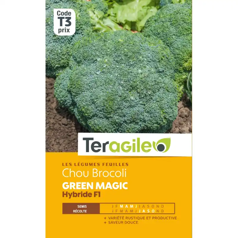 Chou brocoli green magic hybride f1 140 graines Nouvelle Collection