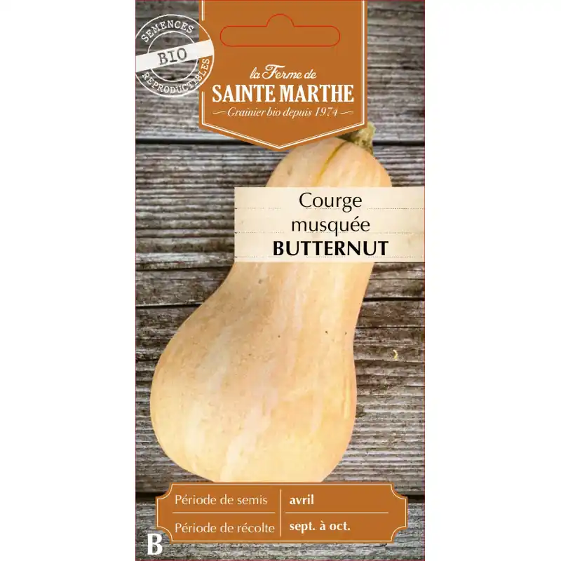 Courge musquée butternut bio de la ferme sainte marth 1kg – graines à semer Commander Vite
