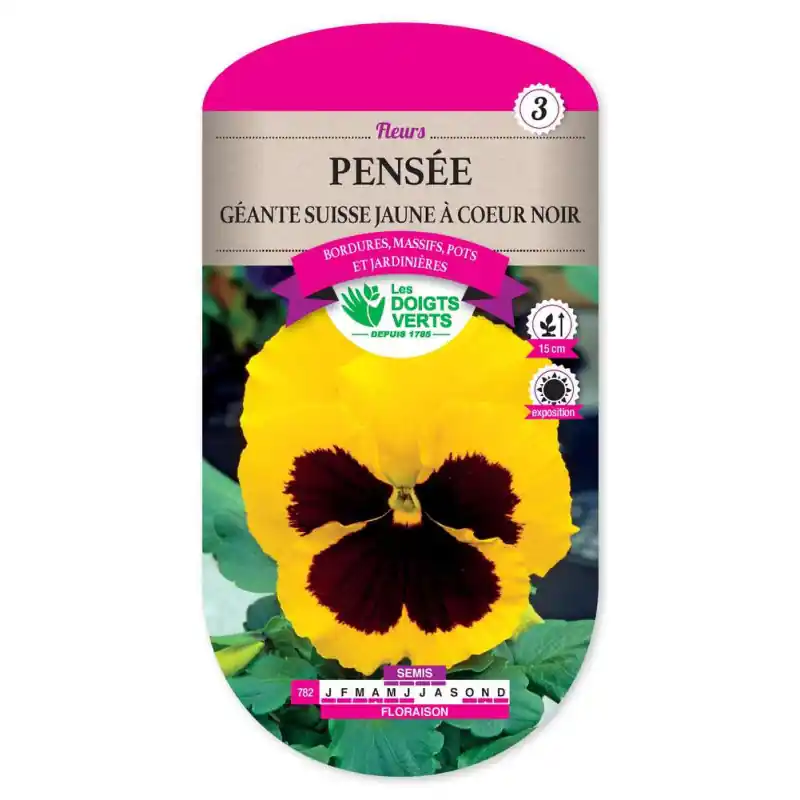 Pensee gte suisse jne coeur noir – graines 0,5g – les doigts verts Retour Gratuit